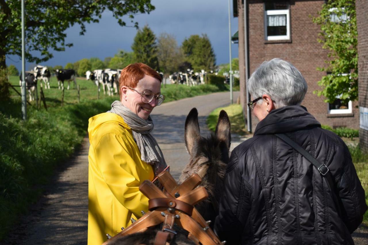 Hof Kricheleberg Leilighet Bocholtz Eksteriør bilde